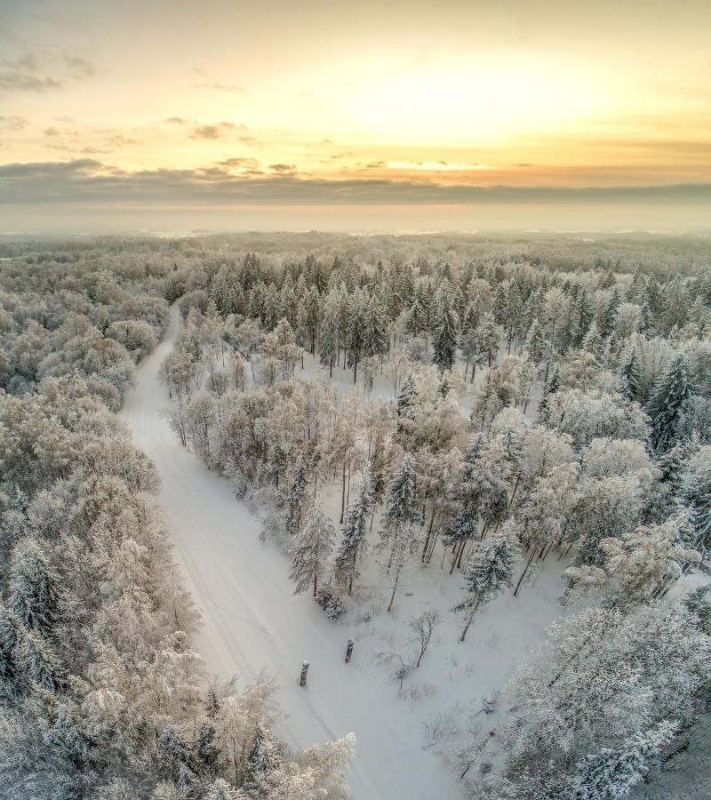 Kaeaeriku Team Cabin Villa Otepää Buitenkant foto